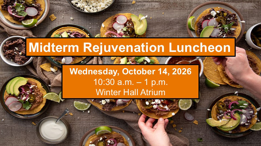 Image of Midterm Rejuvenation