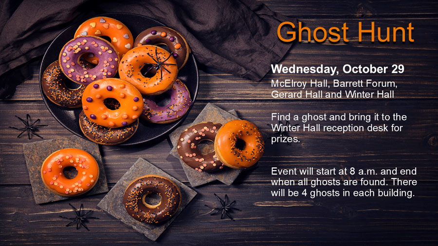 Picture of Ghost Hunt